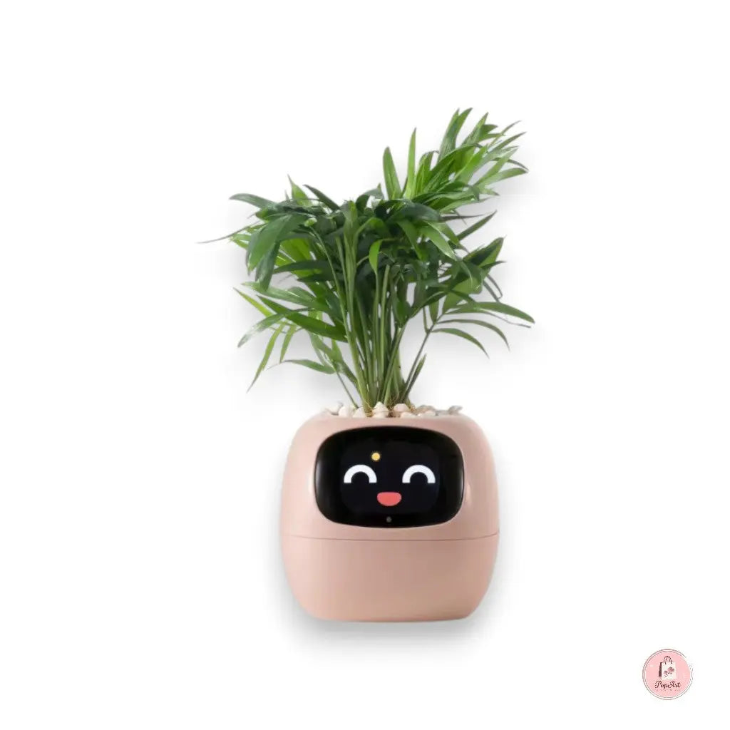 Jardinière Intelligente Connectée Boutique PopArt