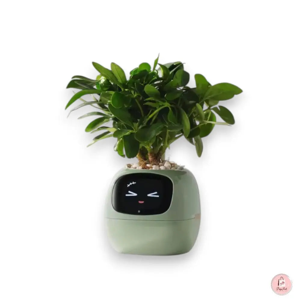 Jardinière Intelligente Connectée Boutique PopArt