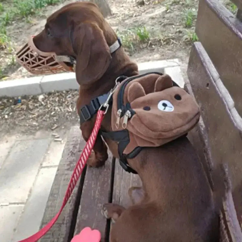 Sac à dos pour animaux de compagnie Boutique PopArt