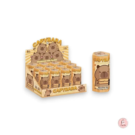 Capybara Mystery Box Boutique PopArt