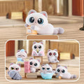Doudou Chat Surprise-Adoptez la magie !