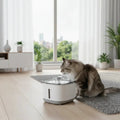 Fontaine à Eau pour Chats-Offrez à votre chat une eau fraîche !