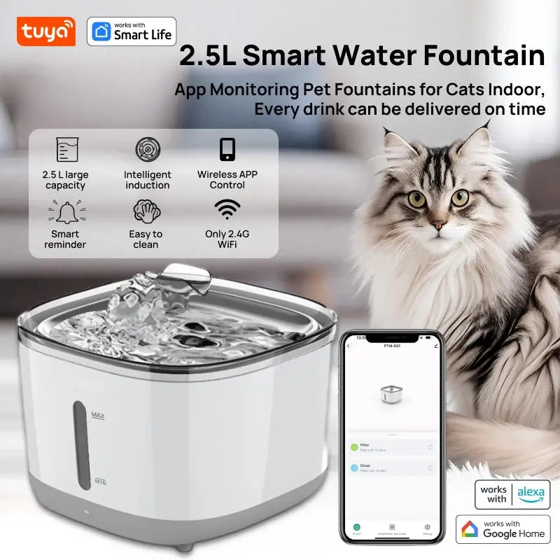 https://cdn.dropmagic.ai/medias/1ab330a6-d5ae-482a-ae9d-d997237a28d5.webp
