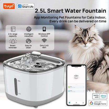 https://cdn.dropmagic.ai/medias/1ab330a6-d5ae-482a-ae9d-d997237a28d5.webp