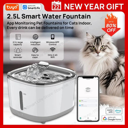 https://cdn.dropmagic.ai/medias/49d08b93-1cf6-40b6-a8f5-bbd9fe9ba5e3.webp