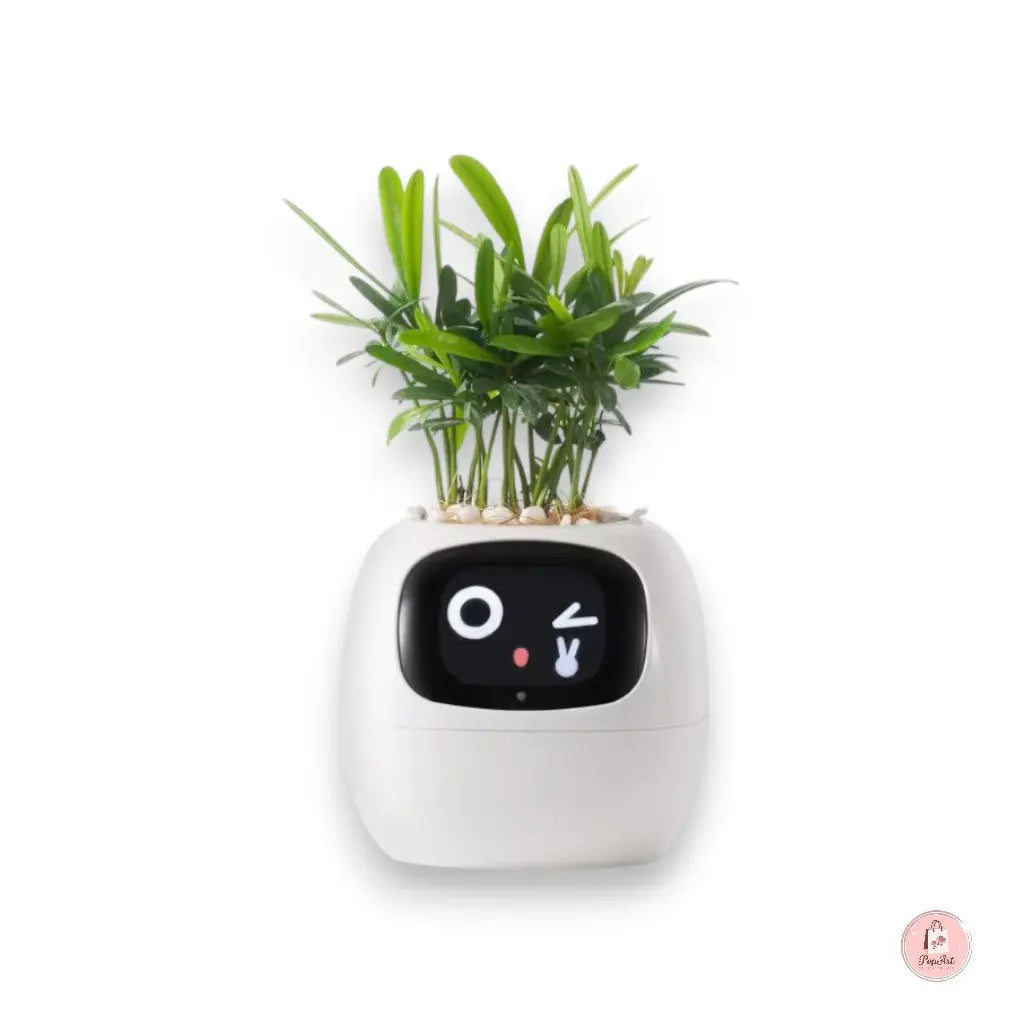 Jardinière Intelligente Connectée Boutique PopArt