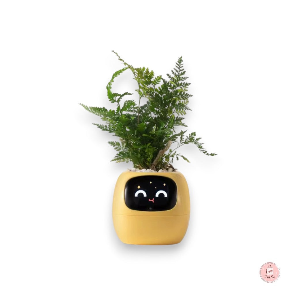 Jardinière Intelligente Connectée - Boutique PopArt