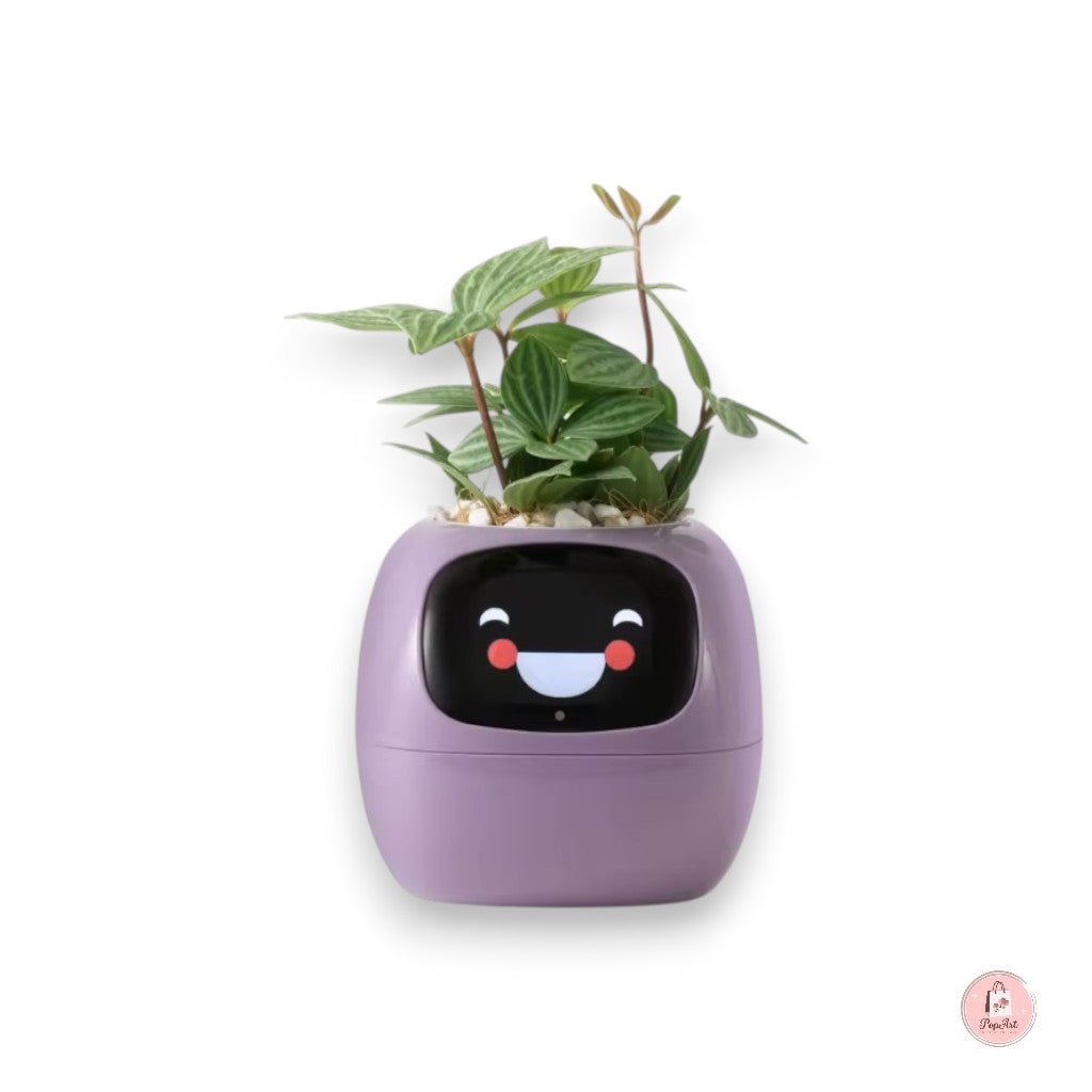 Jardinière Intelligente Connectée - Boutique PopArt