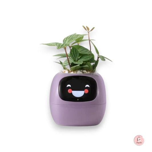 Jardinière Intelligente Connectée - Boutique PopArt