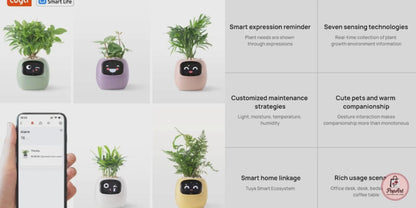 Jardinière Intelligente Connectée